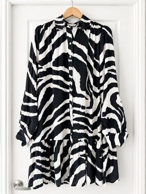 H&M Zebra Print Shirt Dress